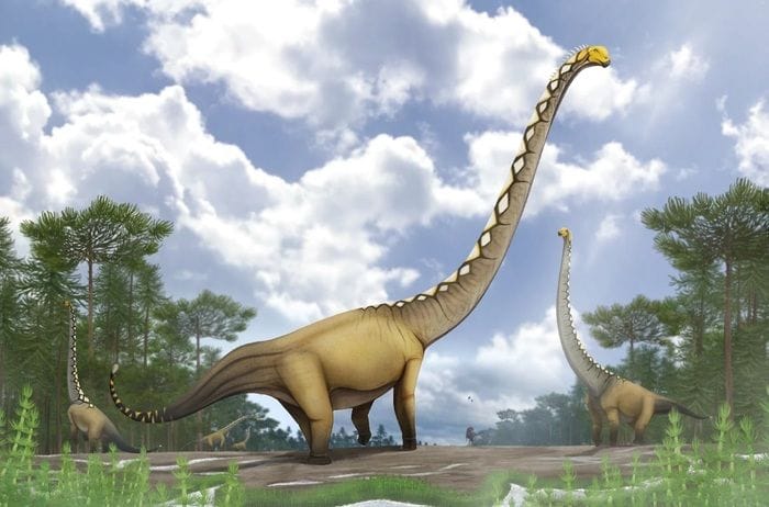 Dalla Thailandia un nuovo dinosauro gigante dal collo lungo, l'Uragasauro