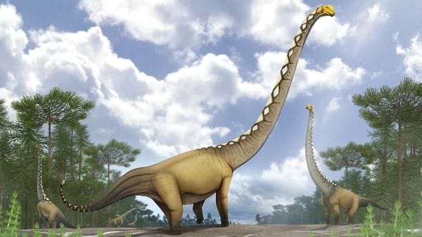 Dalla Thailandia un nuovo dinosauro gigante dal collo lungo, l'Uragasauro