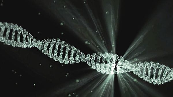 Individuato un gene alleato dei tumori, li aiuta a riparare il loro Dna