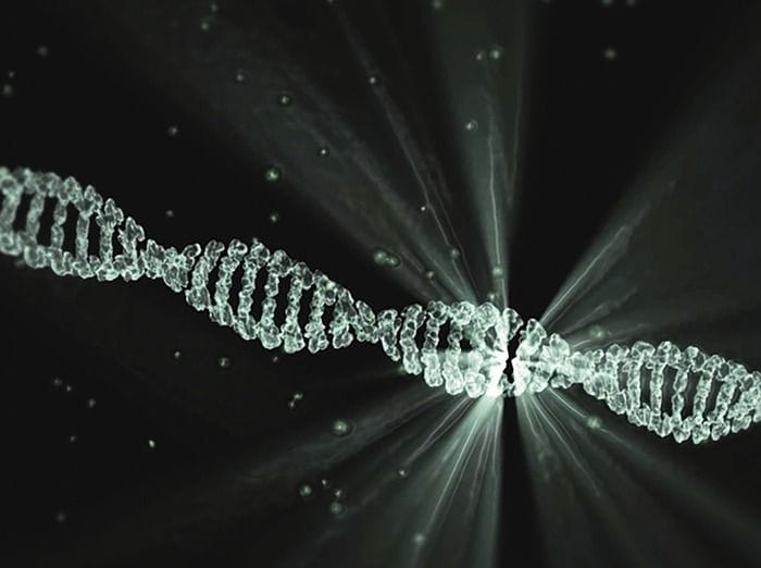 Nuovo gene alleato dei tumori, li aiuta a riparare il loro Dna
