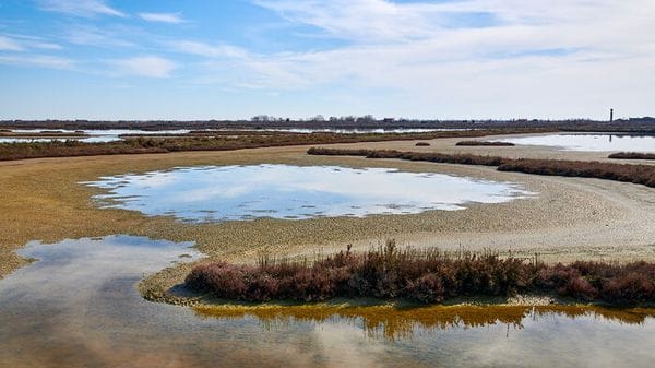 Venezia, un uso alternativo del Mose per salvare la laguna 