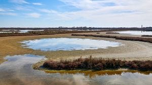 Venezia, un uso alternativo del Mose per salvare la laguna 