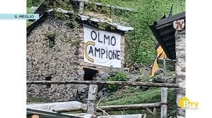 METEO Regazzoni