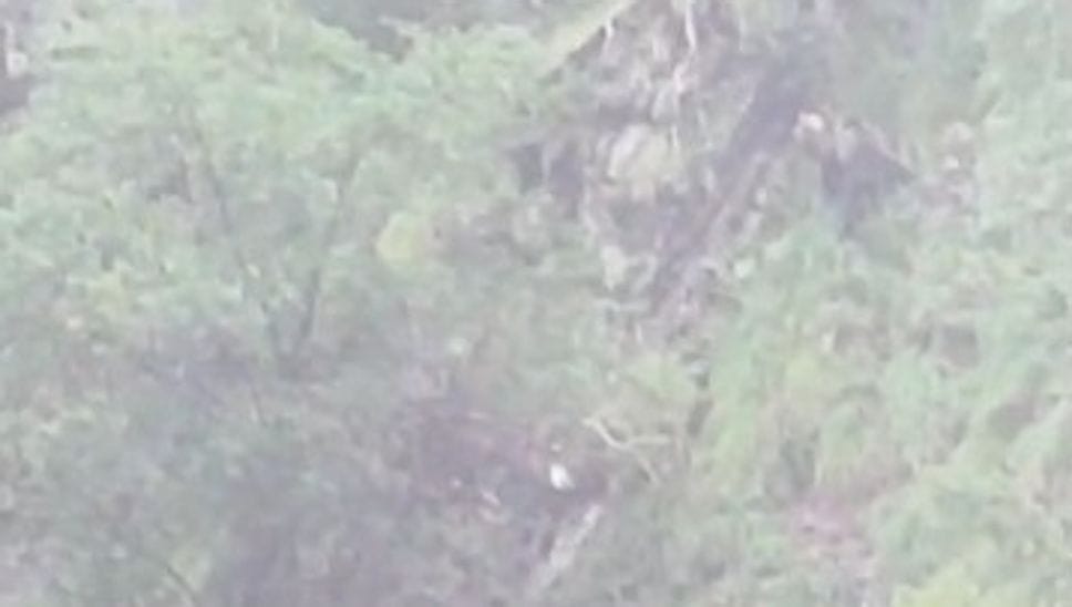 Orso avvistato a Carona, due escursioniste a pochi metri dall’animale - Il video