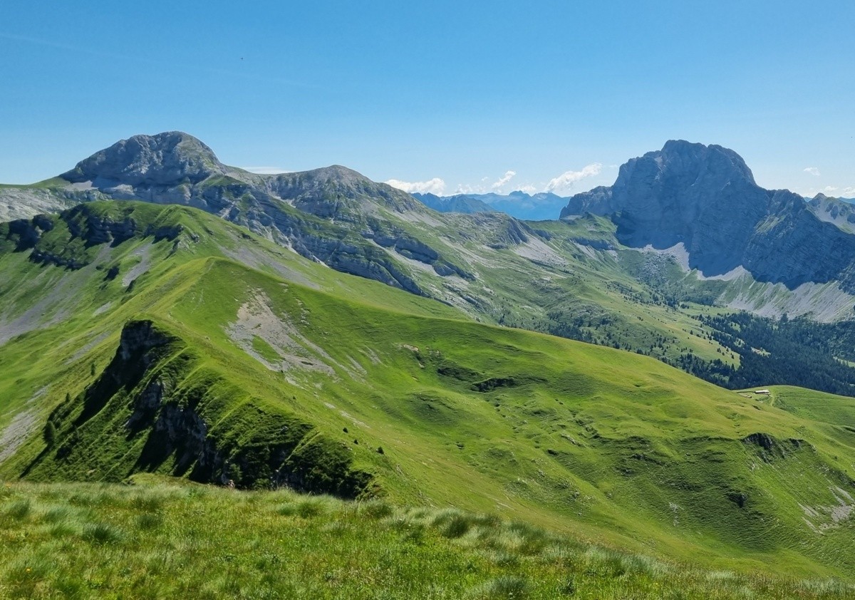 Un itinerario in Val Sedornia sulle tracce del lupo e dell’orso 