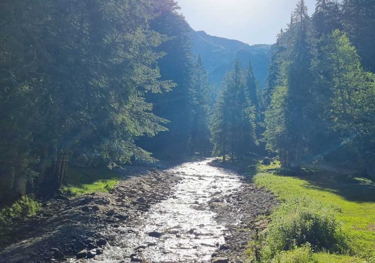 Un itinerario in Val Sedornia sulle tracce del lupo e dell’orso 