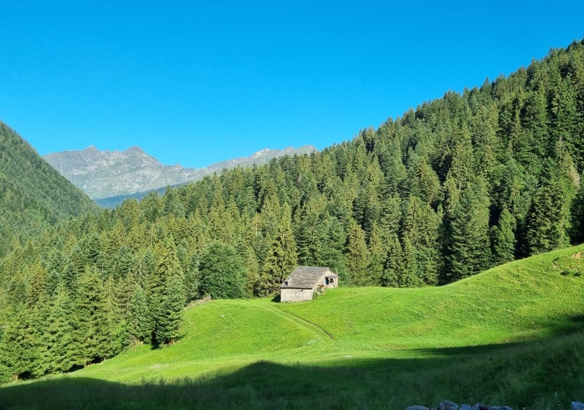 Un itinerario in Val Sedornia sulle tracce del lupo e dell’orso 