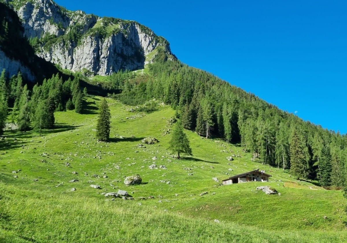 Un itinerario in Val Sedornia sulle tracce del lupo e dell’orso 