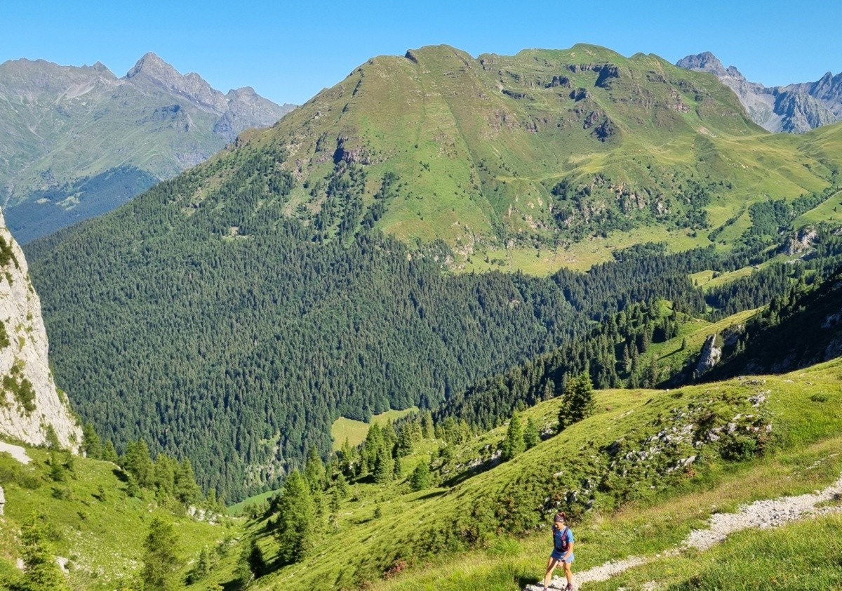 Un itinerario in Val Sedornia sulle tracce del lupo e dell’orso 