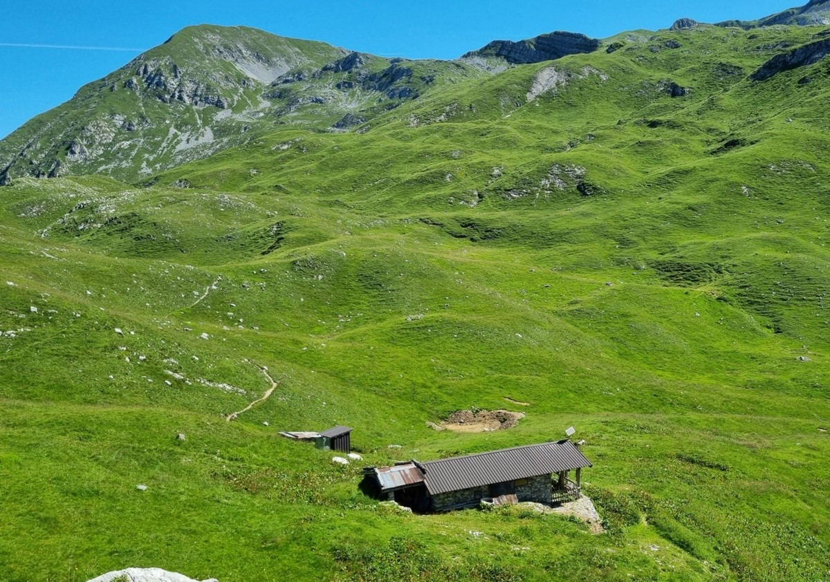 Un itinerario in Val Sedornia sulle tracce del lupo e dell’orso 