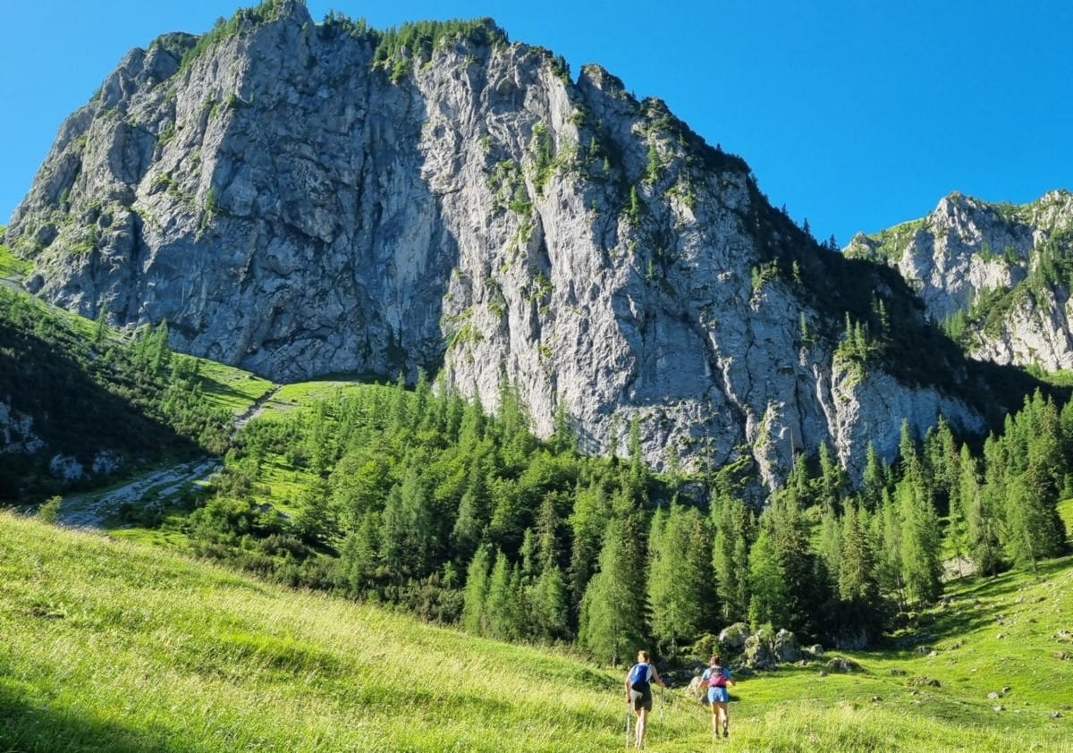 Tra i silenzi della  Val Sedornia sulle tracce del lupo e dell’orso 