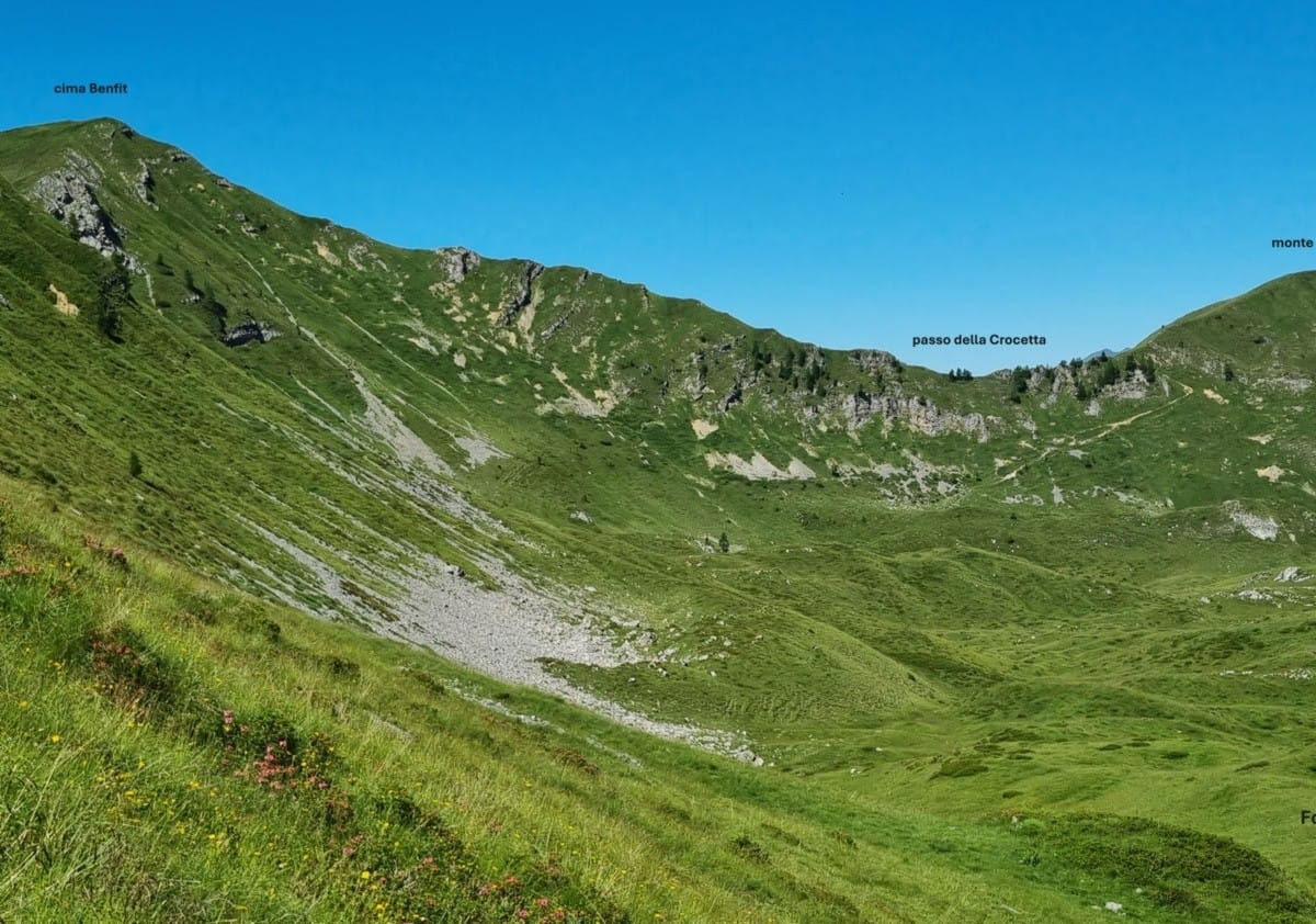 Tra i silenzi della  Val Sedornia sulle tracce del lupo e dell’orso 