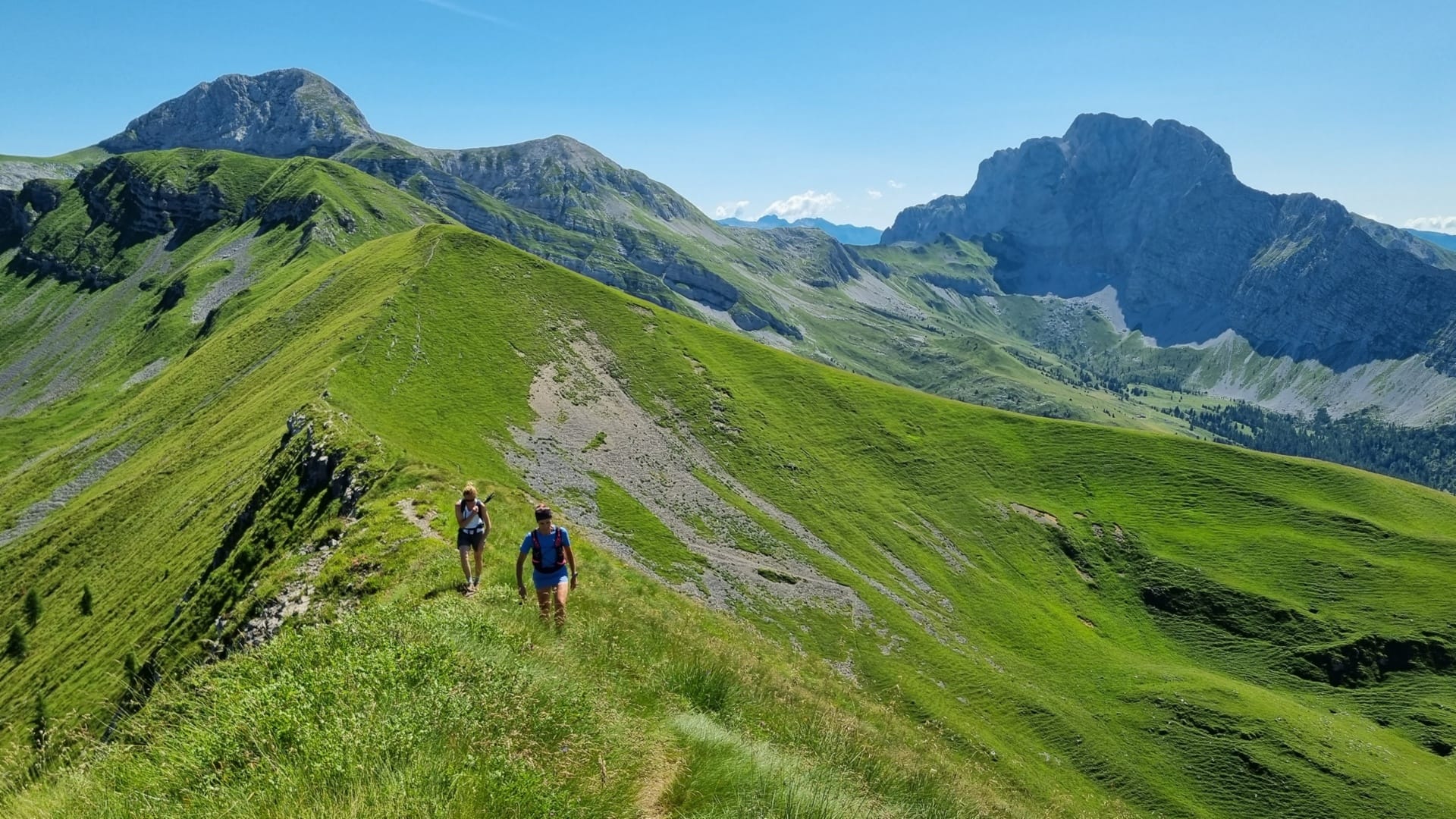 https://storage.ecodibergamo.it/media/photologue/2026/7/25/photos/tra-i-silenzi-della-val-sedornia-sulle-tracce-del-lupo-e-dellorso_282d5708-8776-11f1-9963-9fa84780a2ec_1920_1080.jpg