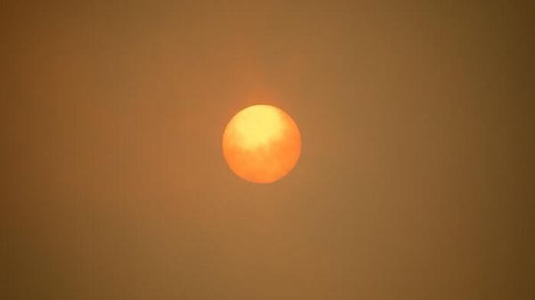Wwf, le risorse della terra saranno esaurite il 30 luglio