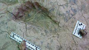 I cugini dell'uomo erano più alti del previsto 
