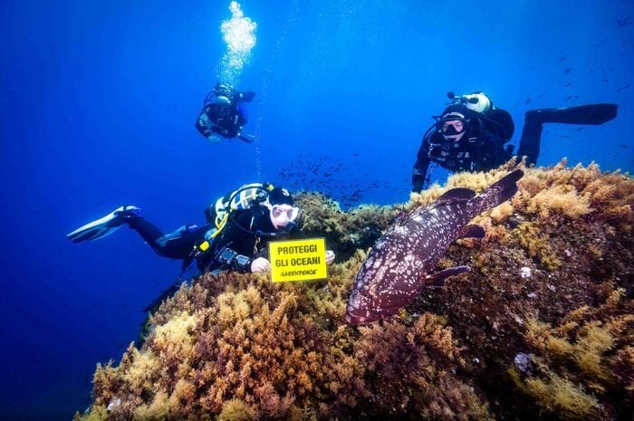 Mare bollente, nel 2025 caldo anche a 40 metri di profondità