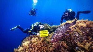Mare bollente, nel 2025 caldo anche a 40 metri di profondità
