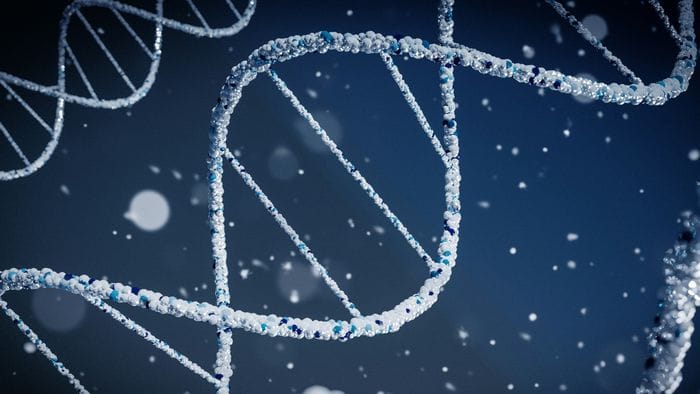 https://storage.ecodibergamo.it/media/photologue/2026/7/29/photos/cache/tumori-gene-alleato-ripara-il-loro-dna-ma-li-rende-vulnerabili_2c32cc4c-884e-11f1-9963-9fa84780a2ec_1920_1080_v3_large_16_9.jpg
