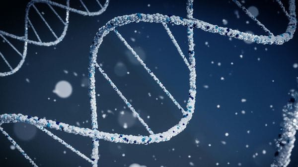 Tumori, gene alleato ripara il loro Dna ma li rende vulnerabili