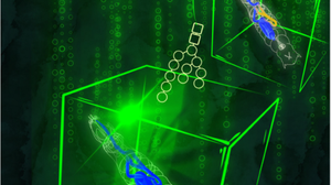 Visto il checkpoint cellulare che decide il destino delle proteine  