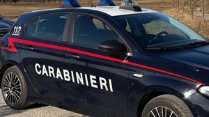 Aveva in una stalla oltre un chilo di droga. Arrestato 60enne a Zogno