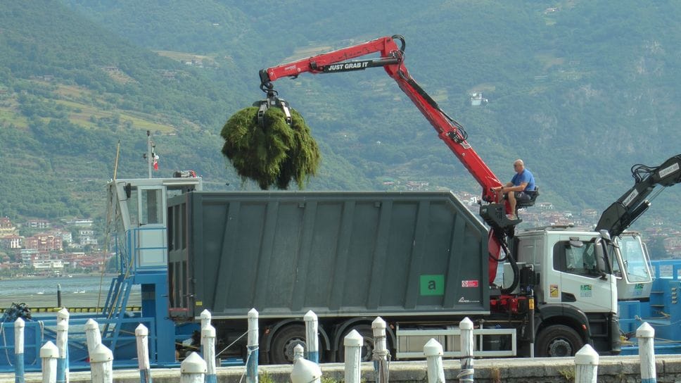 Il Sebino assediato dai siluri: si valuta la pesca di selezione