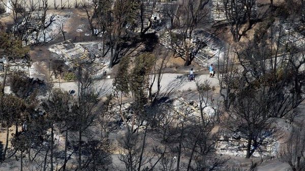Copernicus, 2026 anno tra più complicati per incendi, per Francia il peggiore