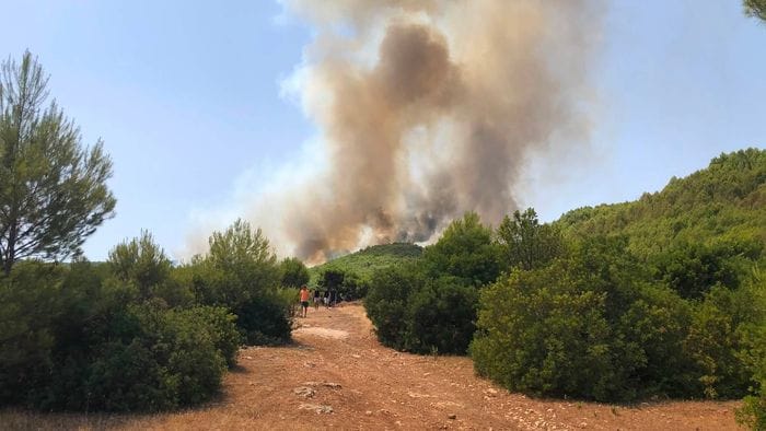 https://storage.ecodibergamo.it/media/photologue/2026/7/30/photos/cache/trevigliesi-in-puglia-sfollati-per-il-rogo-paura-ma-torneremo_9c4cb12c-8b83-11f1-becc-c995854bca90_1920_1080_v3_large_16_9.jpg