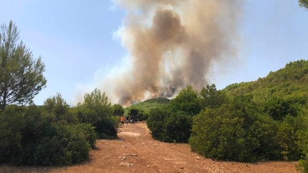 Trevigliesi in Puglia: «Sfollati per il rogo, paura ma torneremo»