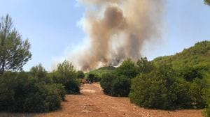 Trevigliesi in Puglia: «Sfollati per il rogo, paura ma torneremo»