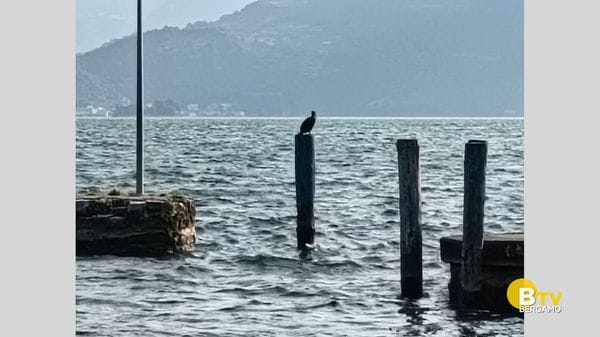 NON SOLO METEO