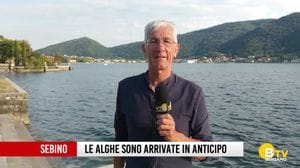Caldo e poca acqua: nel Sebino le alghe sono arrivate in anticipo