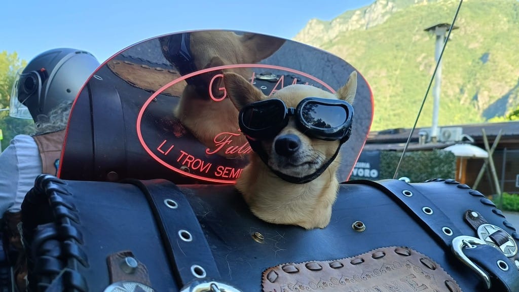 In viaggio d’estate
