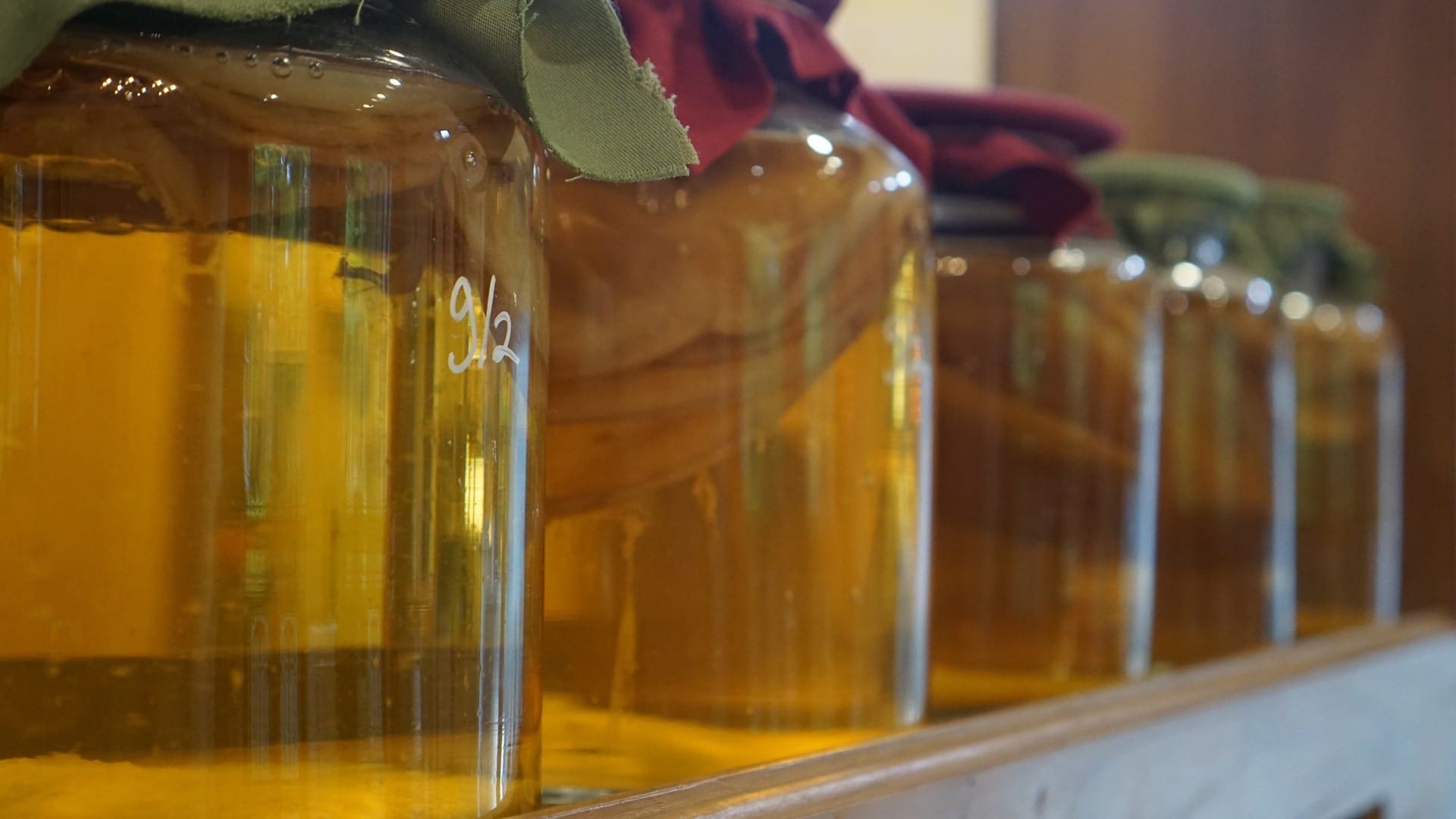 La pazienza ha un sapore antico. Perché la kombucha è la bevanda del momento?