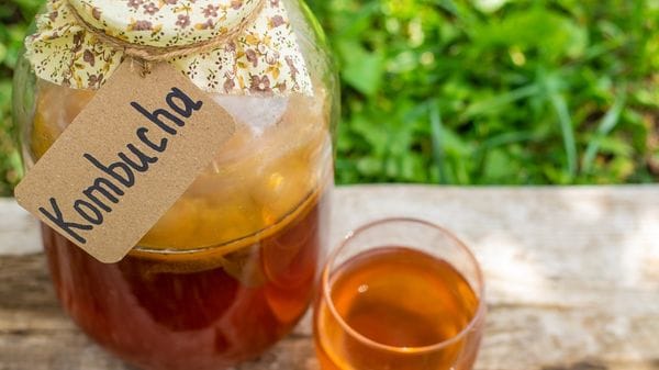 La pazienza ha un sapore antico. Perché la kombucha è la bevanda del momento?