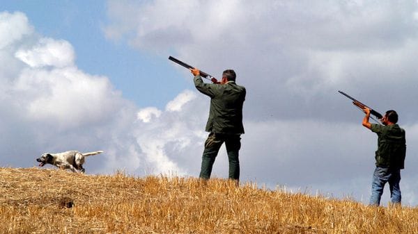 Cacciatore come bioregolatore, associazioni ambientaliste chiedono stop ddl caccia