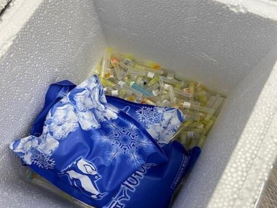 Clinica estetica abusiva a Seriate, sequestrati botox e filler: un’indagata
