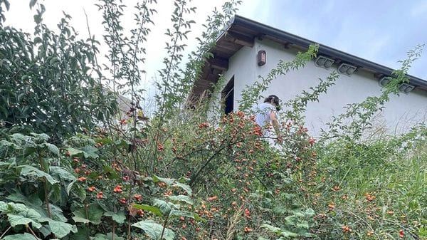 Cresce la rete delle aree naturali tutelate, nuova Oasi Affiliata Wwf nel Parmense