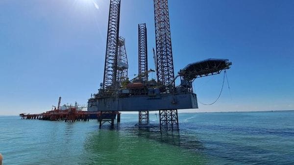 Wwf Italia, autorizzazioni di rigassificatori subordinate a fabbisogno reale di gas