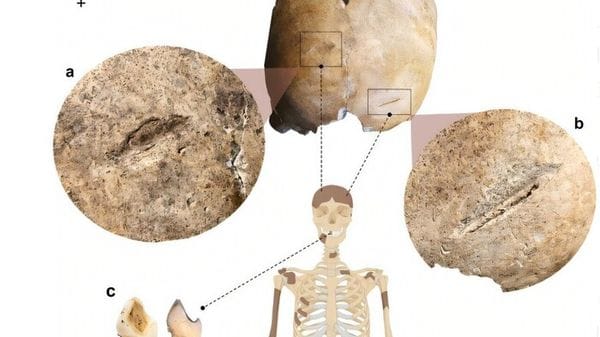 Cold case tra i Longobardi, trovata la prima donna ferita in modo violento