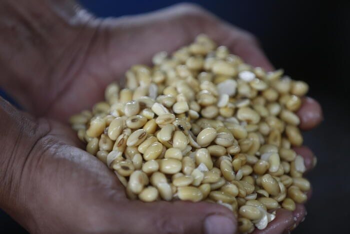L'Eurocamera frena la stretta Ue ai biofuel a base di soia per gli obiettivi 'green'