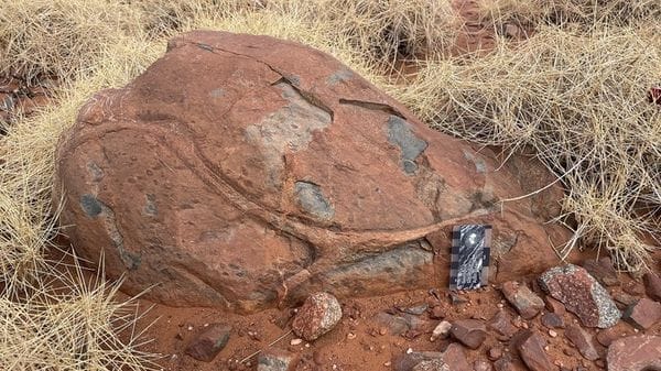L'acqua ha modellato l'interno della Terra 3,1 miliardi di anni fa