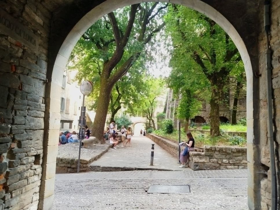 Bergamo, 1.940 nuove piante per riqualificare le aiuole del centro città