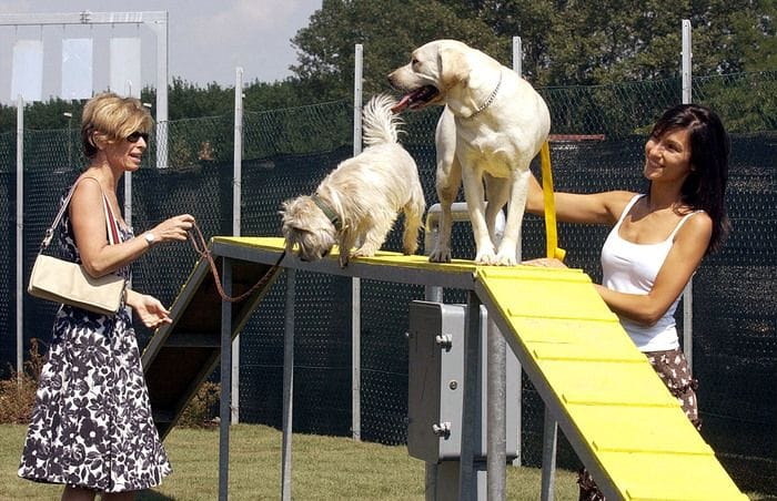Coldiretti/Ixè, 6,1 milioni gli italiani in viaggio con Fido e Fuffy