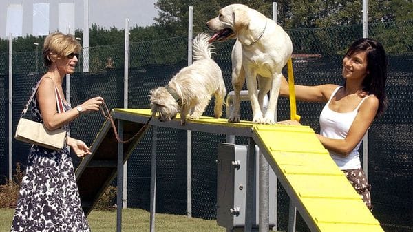 Coldiretti/Ixè, 6,1 milioni gli italiani in viaggio con Fido e Fuffy