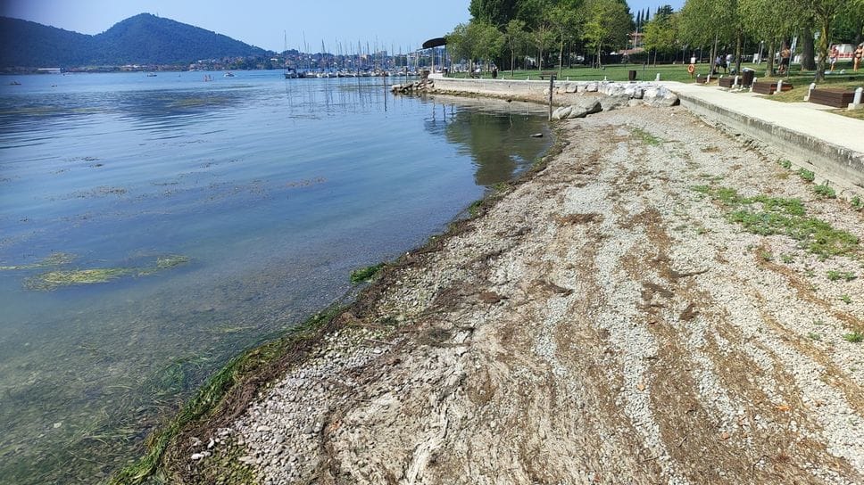Lago d’Iseo in sofferenza: livello basso e alghe nel Basso Sebino alla vigilia del turismo d’agosto - Foto