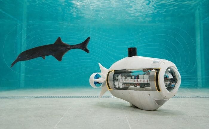 Nuovi robot ispirati ai 'superpoteri invisibili' di insetti e piante 
