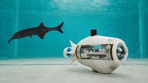 Nuovi robot ispirati ai 'superpoteri invisibili' di insetti e piante 