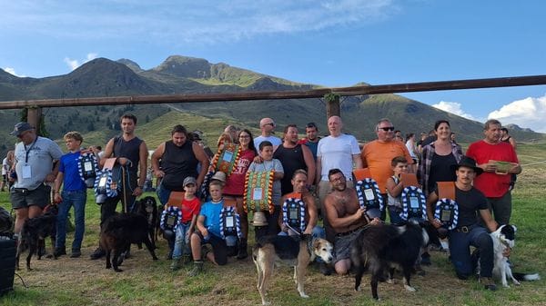Sfida tra cani da pastore ai Piani dell’Avaro: Mosca da Sondrio fa tris