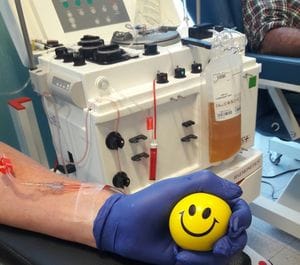In estate donazioni in calo Avis: «Ma il sistema tiene»